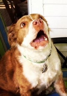 kiedy wstaje rano po Sobotniej imprezie i okazuje sie ze to Poniedzialek