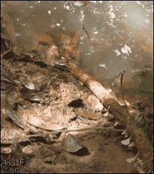 No jasne szturchij to kijem