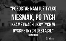 - Małpa ♥