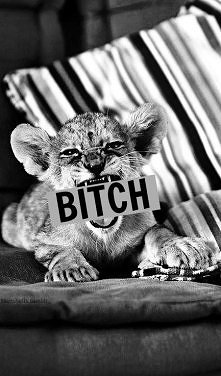 BITCH