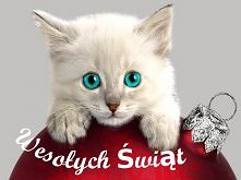 Wesołych!!