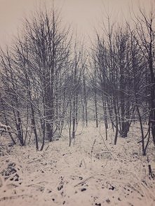 Nareszcie śnieg :D!