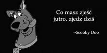Moje motto ^^