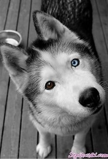 ...marzę o takim ‹3