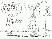 Szkoda_
