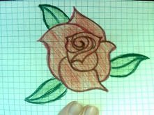 Róża, trochę nie wyszła... ...