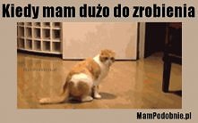Leżeć i nie wstawać,mama zrobi później.