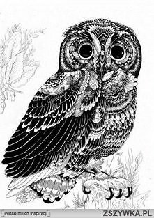 uwielbiam sowy!!!