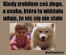 więcej na MamPodobnie.pl