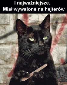 Dowód na to, że Salem był najlepszym bohaterem "Sabriny" :D