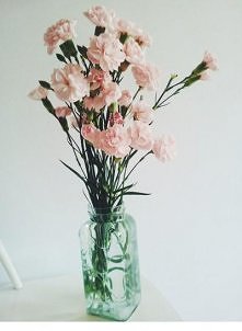 #flowers <3