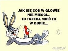 Jeśli nie w głowie...