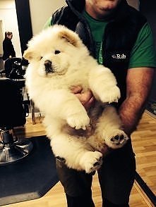 prawda że świetny.. :D