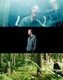 Remus Lupin (Lunatyk) :)