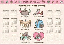pusheen