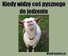 Padłam :P