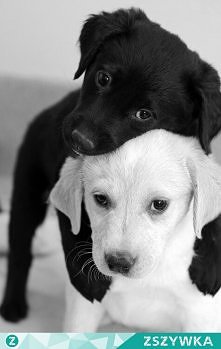 jak dobra i zła karma ;) cu...