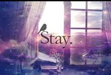 stay .
