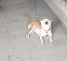 Kiedy jestem pijany, a barman oferuje coś do jedzenia xDD