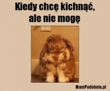 więcej na MamPodobnie.pl