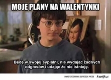 Moje plany... ;<