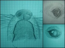 hej, hej zszywkowicze :3
ot...