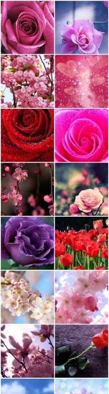 a tobie z czym się kojarzą kwiaty