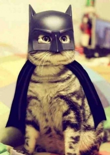 batman***