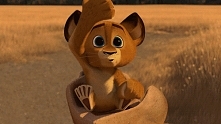 urocze;)
Madagaskar 2