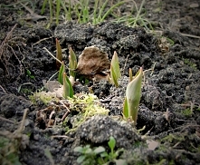 pomyslyznadwisly.blogspot.c...