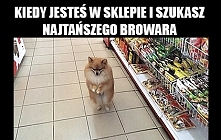 hahahah