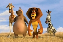 Madagaskar. Wszystkie części :D
