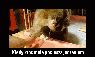 Słodko :)