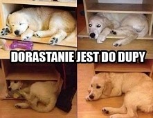 biedaczek :) ale ma rację !!