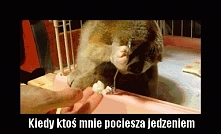 Słodko :)