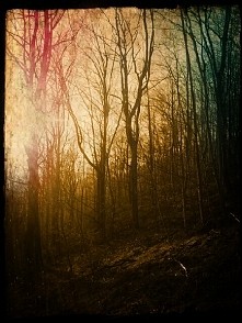 moja fotografia i obróbka