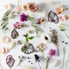 ‎stilllife‬ by Blanca Monrós Gómez