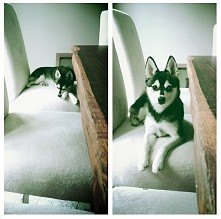 Ooo jaki słodki ❤