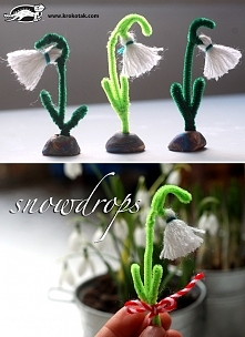 pierwsze wiosenne kwiaty