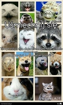 Uśmiechnij się!