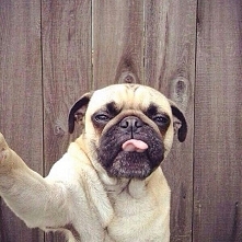 let me take a selfie :)