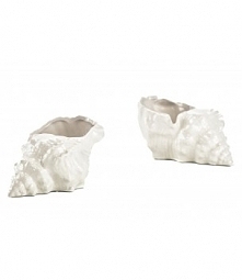 Muszla morska porcelanowa - biała