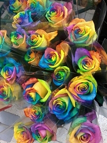 roses, kto by chciał takie na dzień kobiet? Ja na pewno:)