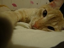 let me take a selfie ;)