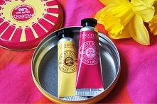 darmowe mini kremy od L'Occitane :)