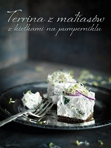Terrina z matiasów z kiełkami na pumperniklu