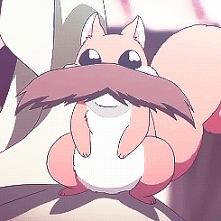 Wiewiórka z wąsami takie rzeczy tylko w Akatsuki no Yona