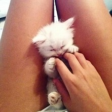 Małe jest piekne *-*