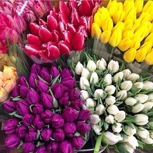 Cięte kwiaty - Jak przedłuż...