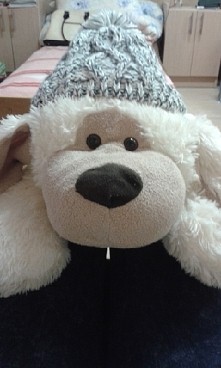 Mój Misiu ☺
Zygfryd Albert ...